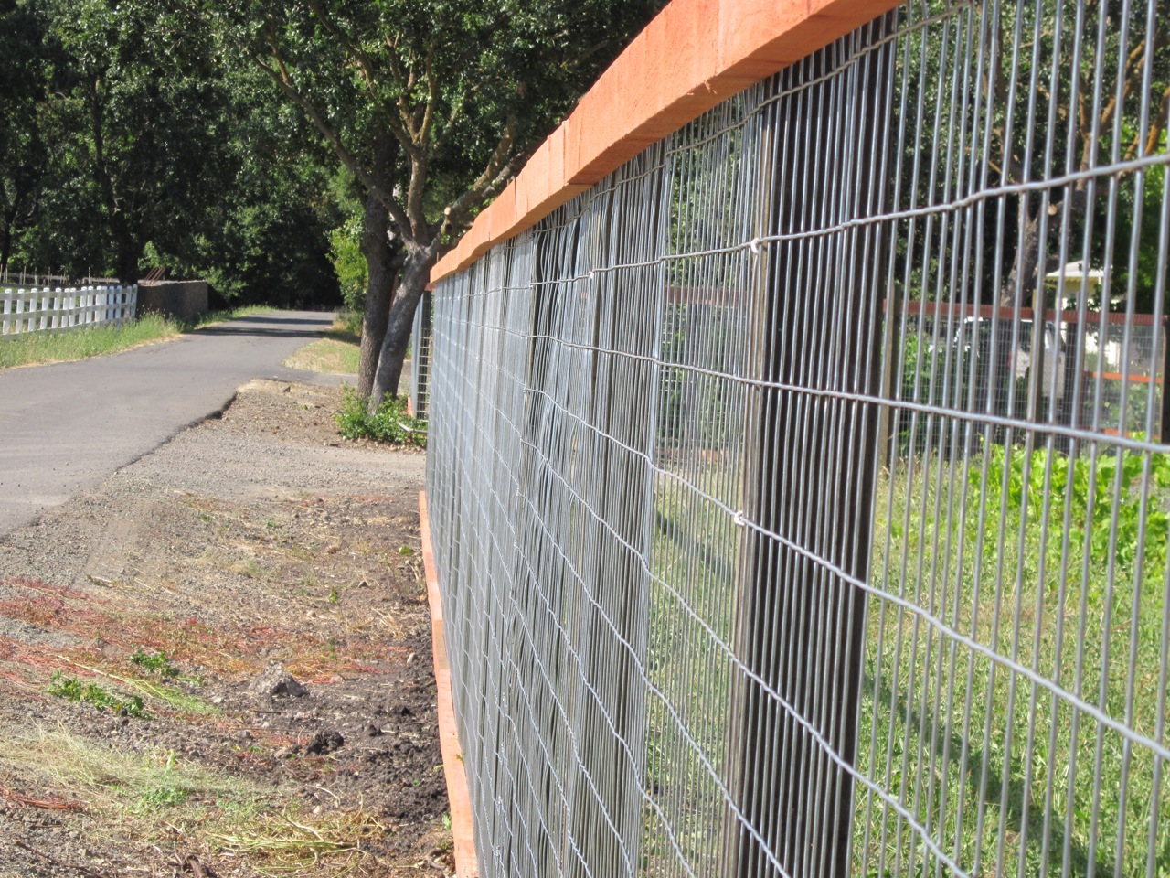 2 4 WELDED WIRE Arbor Fence Inc A Diamond Certified Company